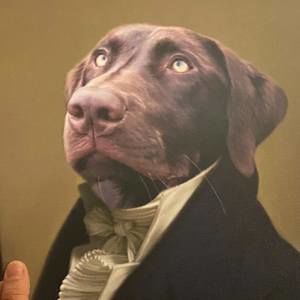 Meet your Posher, Sush